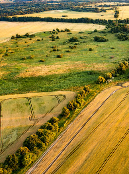 istock Aerial view of a cereal fields surrounded by forests. 1327601589