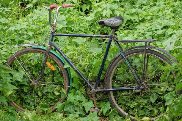 istock one old black retro bicycle stands in green grass 1327606384