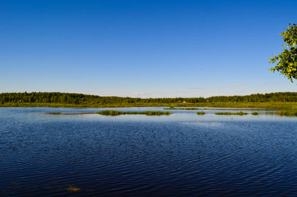 Pure blue lake among forests and trees