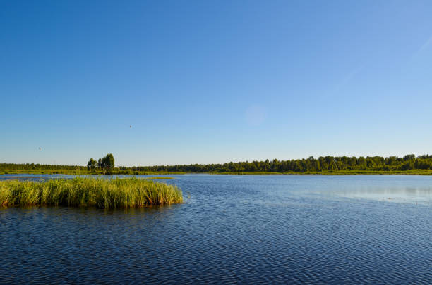 istock Blue Lake among trees and forests 1327606866
