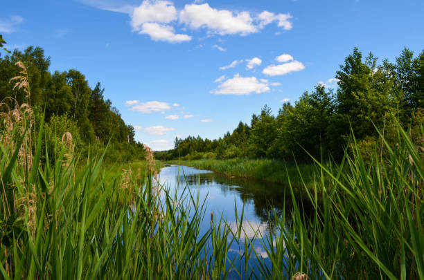 istock Blue Lake among trees and forests 1327606879