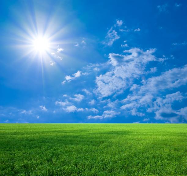 istock beautiful green field by a sparkle day 1327607658