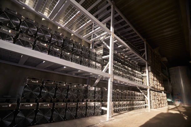 Bitcoin ASIC miners in warehouse. ASIC mining equipment on stand racks for mining cryptocurrency in steel container. Blockchain techology application specific integrated circuit units storage Bitcoin ASIC miners in warehouse. ASIC mining equipment on stand racks for mining cryptocurrency in steel container. Blockchain techology application specific integrated circuit storage. cryptocurrency mining stock pictures, royalty-free photos & images