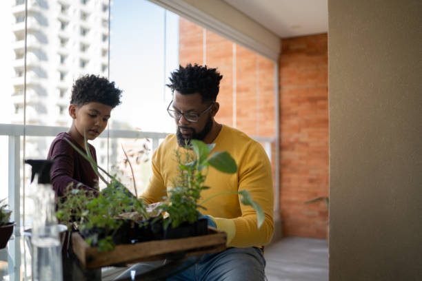 istock Father and son cultivating plants together at home 1327611282