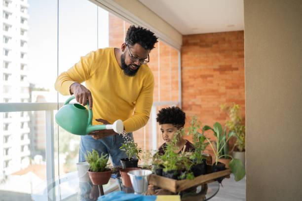 ojciec i syn podlewania roślin w domu - sadzić rośliny do doniczek zdjęcia i obrazy z banku zdjęć