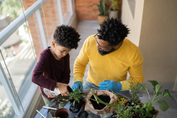 istock Father and son cultivating plants together at home 1327611364