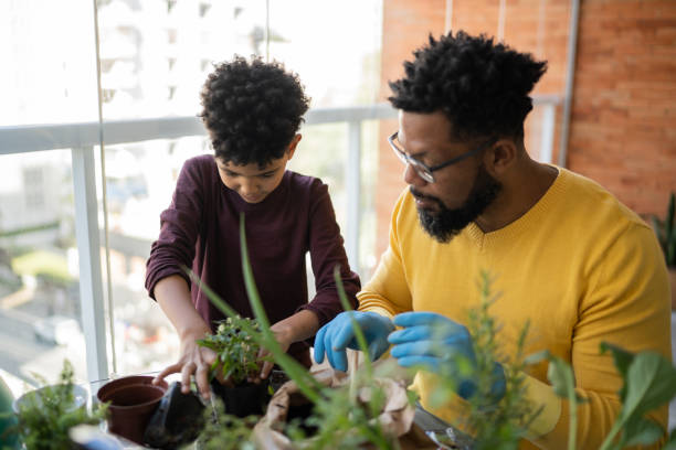 istock Father and son cultivating plants together at home 1327611379