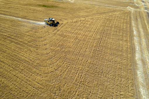 Aerial view of combine harvester is harvesting wheat in summer.