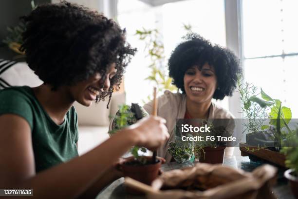 Mother And Daughter Taking Care Of Plants Together At Home Stock Photo - Download Image Now