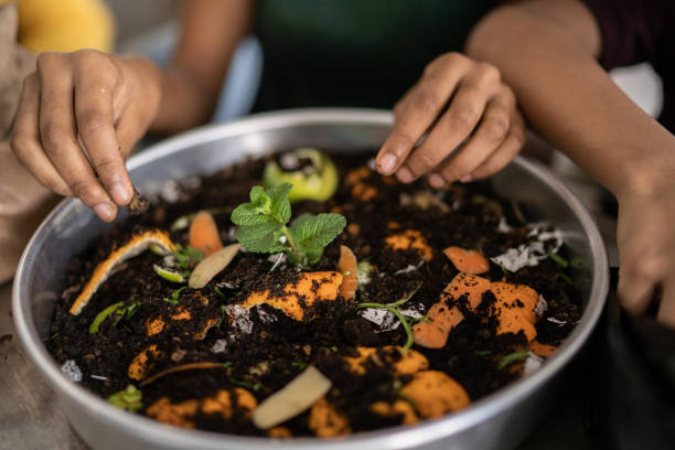 Family hands gardening and composting at home Family hands gardening and composting at home compost stock pictures, royalty-free photos & images