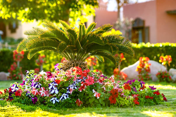 istock Small green palm tree surrounded with bright blooming flowers growing on grass covered lawn in tropic hotel yard. 1327618028
