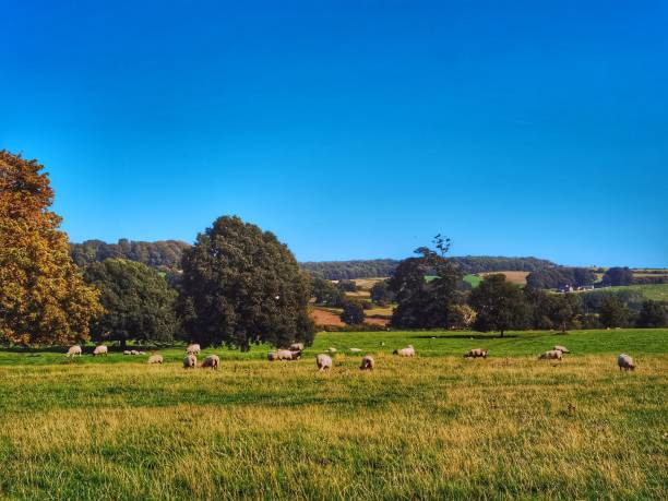 istock footpath track trail cotswolds trees sunlight scenic landscape generic season 1327620247