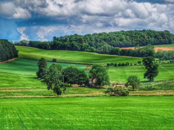 istock footpath track trail cotswolds trees sunlight scenic landscape generic season 1327620444