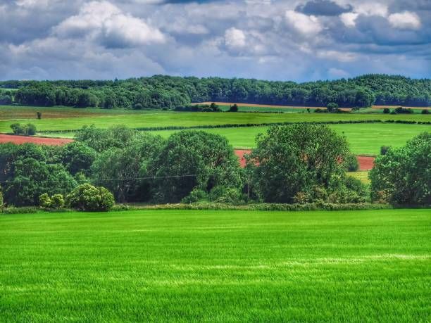 istock footpath track trail cotswolds trees sunlight scenic landscape generic season 1327620464