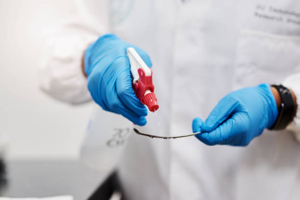 istock Shot of lab worker disinfecting equipment while working a laboratory 1327620623