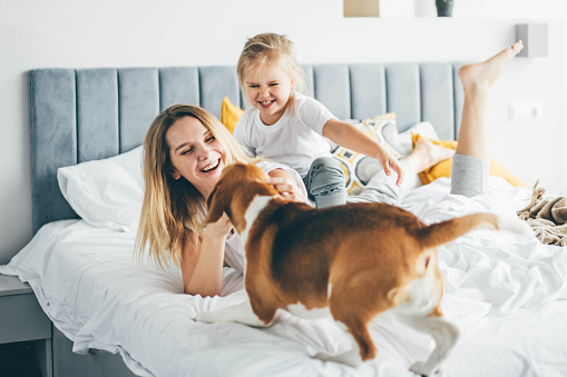 Happy mother and daughter with dog having fun and playing together on the bed at home.