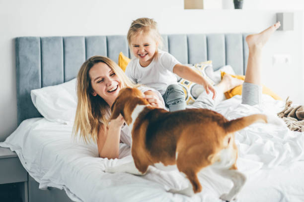 szczęśliwa matka i córka z psem zabawy i zabawy razem na łóżku w domu. - bed child smiling people zdjęcia i obrazy z banku zdjęć