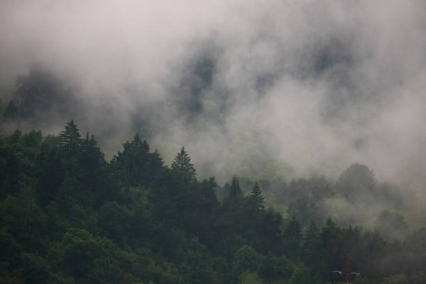 istock Misty natural scenic view in Romanian Mountains after rain 1327622091