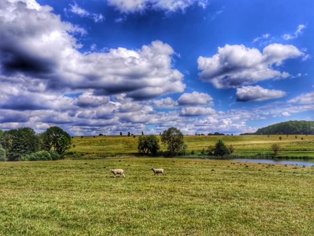istock footpath track trail cotswolds trees sunlight scenic landscape generic season 1327622604