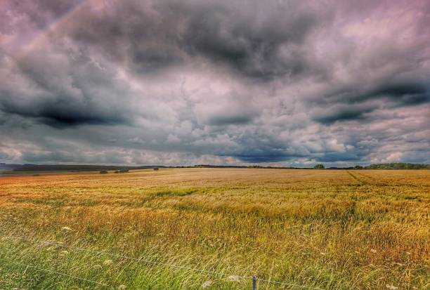 istock footpath track trail cotswolds trees sunlight scenic landscape generic season 1327622680