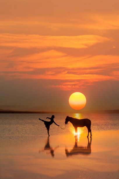 ballerine dansant avec un cheval sur l’eau - water lake reflection tranquil scene photos et images de collection