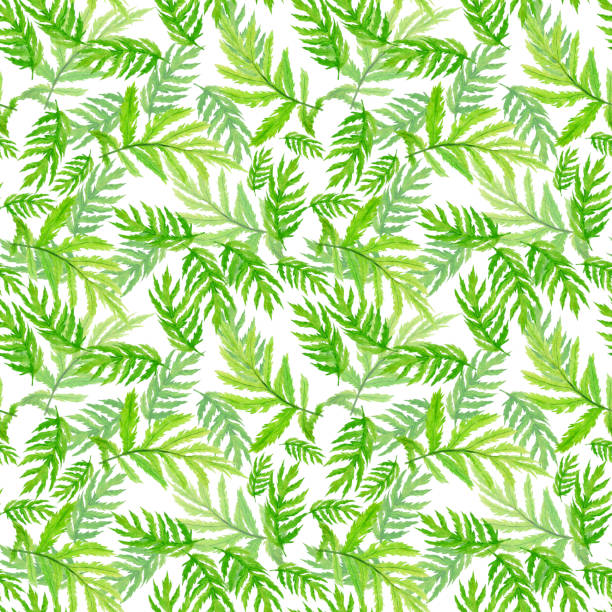 istock Green leaves seamless pattern on white background. Watercolor hand drawing illustration. Foliage of blue tansy. Perfect for cover or fabric. 1327626193