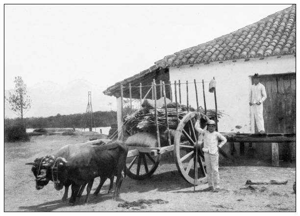 старинная черно-белая фотография: склад на реке хурако, исла-де-ла-хувентуд - old obsolete house black and white stock illustrations