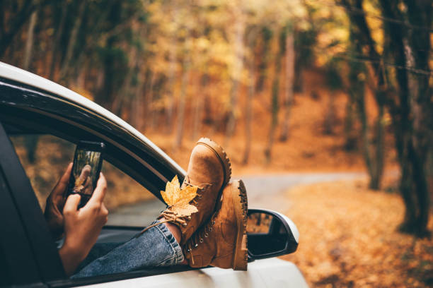 Woman takes picture of bright yellow leaf with mobile phone sticking legs out of car window in picturesque autumn forest Woman takes picture of bright yellow leaf with mobile phone sticking legs out of car window in picturesque autumn forest autumn photos stock pictures, royalty-free photos & images