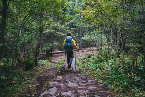 Rear view of tourist man hiking in the mountain