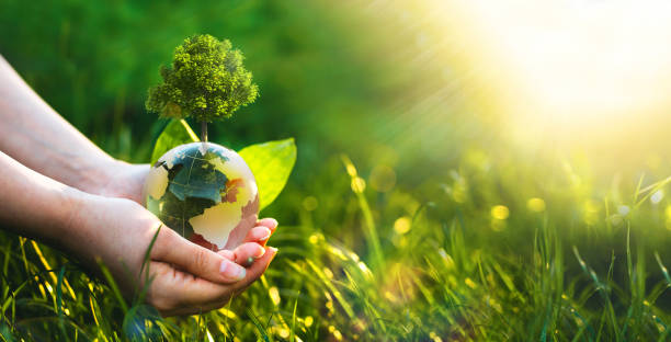 istock Hands holding crystal earth globe and growing tree. Conservation day, Environment, save clean planet, ecology concept, Earth Day banner, Arbor Day 1327629394