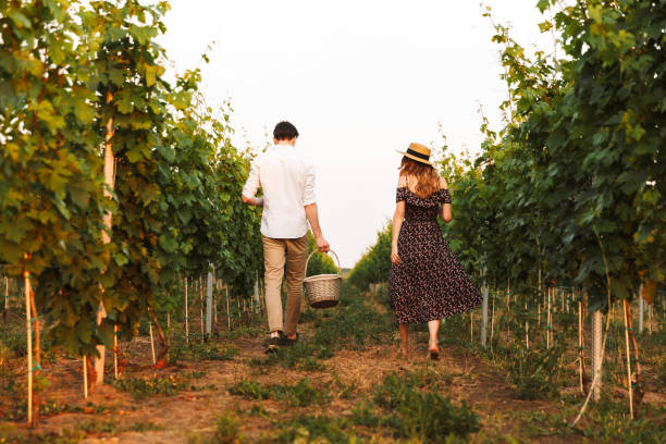 istock Loving couple outdoors drinking wine holding basket with bottles. 1327630781