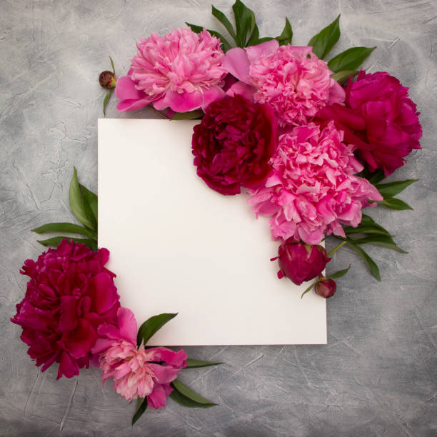 istock Peonies, peony  mock up, floral mock up white square template, empty card, concept for Wedding, Women's day, 8 March, Birthday, Valentine's day. Flowers flat designe 1327631729
