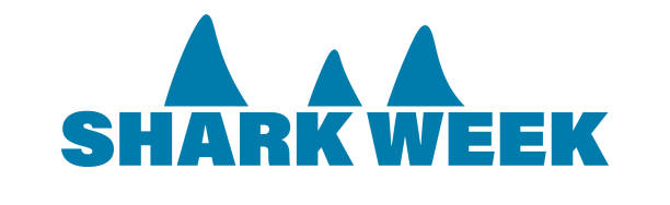 Shark Week Vector Illustration shark's fin for Shark Week. tiger shark stock illustrations
