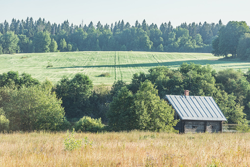 Wooden house by the lake at summer sunset. Summer countryside view.