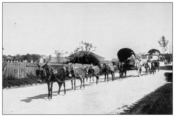 istock Antique black and white photograph: near Havana, Cuba 1327634505