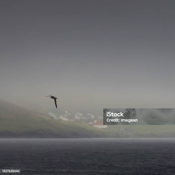 Faro Islands Stock Photo - Download Image Now - Faroe Islands, Island, Bay of Water
