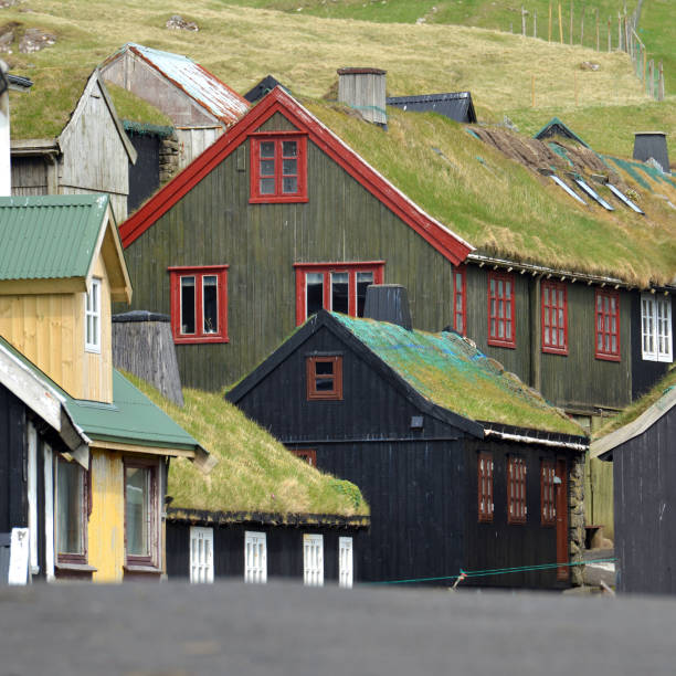 Mykines Teleshot of the main street in Mykines village. It is the only settlement on Mykines Island, the westernmost of the Faroe Islands. It is a little coastal village with bright colourfull houses with turf roofs. mykines faroe islands photos stock pictures, royalty-free photos & images