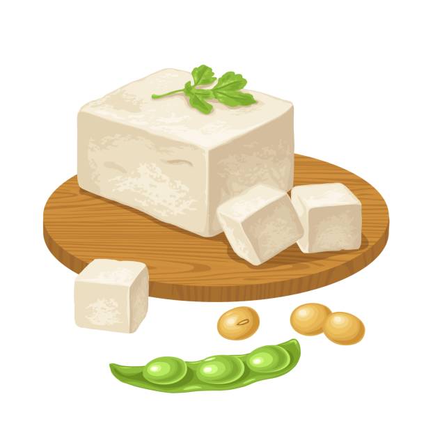 ilustrações de stock, clip art, desenhos animados e ícones de tofu on wood board and open soybean pod. vector color illustration - pod