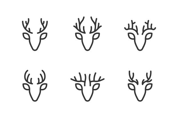illustrations, cliparts, dessins animés et icônes de deer head vector logo icônes course modifiable - antler stag deer trophy