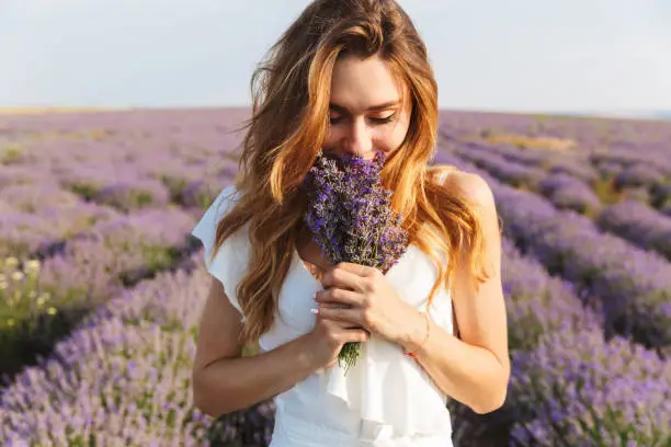 Photo of Photo of caucasian young woman in dress holding bouquet of flowers, while walking outdoor through lavender field in summer