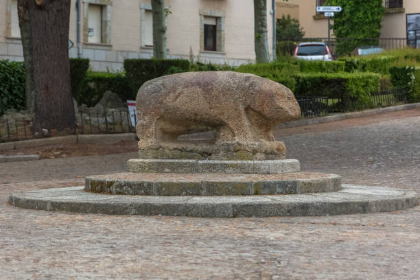 vue de la sculpture mégalithique en granit des vettones d’un cochon, à l’intérieur de la forteresse de cuidad rodrigo au centre-ville - zoomorphic photos et images de collection