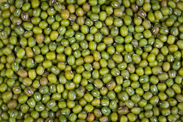 istock Close-up of Mung bean for background. 1327642275