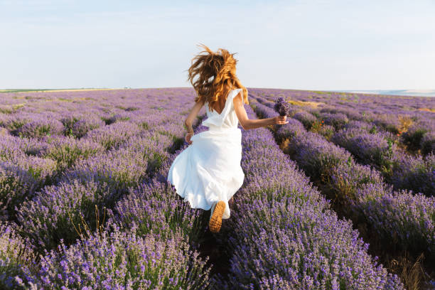visão de trás de uma menina bonita jovem em vestido correndo - lavender field - fotografias e filmes do acervo