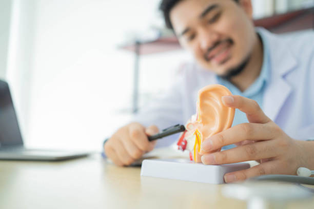 da vicino l'otorinolaringoiatra professionista spiega e diagnostica l'anatomia dell'orecchio umano sul sintomo del timpano per il trattamento e il concetto di guarigione - timpani foto e immagini stock