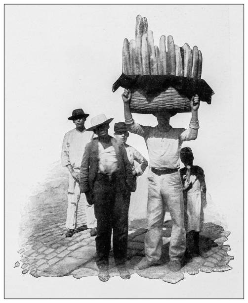 Antique black and white photograph: Bread vendor, Havana, Cuba Antique black and white photograph of people from islands in the Caribbean and in the Pacific Ocean; Cuba, Hawaii, Philippines and others: Bread vendor, Havana, Cuba cuban ethnicity photos stock illustrations