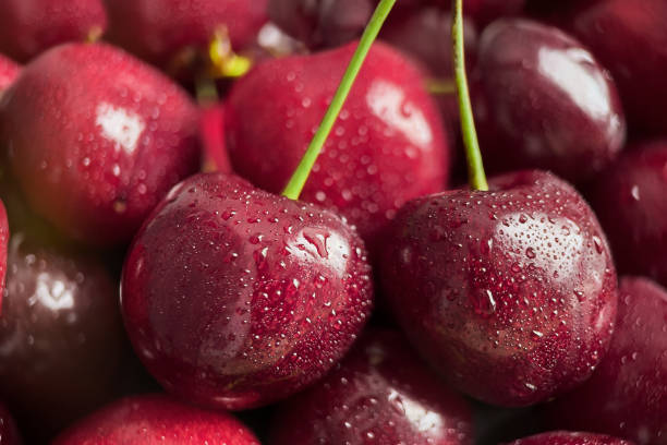 istock Fresh sweet cherry berries with water drops closeup. 1327649859