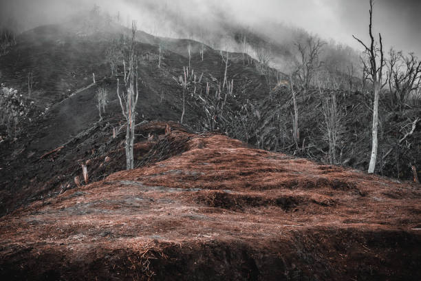 on the road to the turrialba volcano at La Hacienda Central
