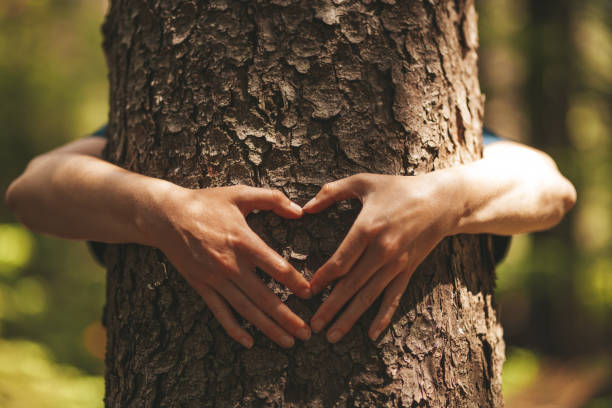 istock Hug with a tree and make a heart with your hands. Caring for and unity with nature 1327654872