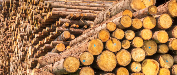 istock Storage place for wood logs 1327656361