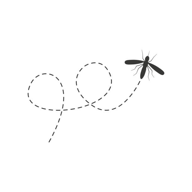ilustraciones, imágenes clip art, dibujos animados e iconos de stock de icono de la mosca del mosquito. mosquito volando en una ruta punteada. - mosca insecto ilustraciones